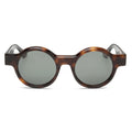 C2 Brown Tortoiseshell - G15