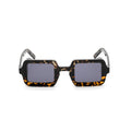 C02 BROWN TORTOISE