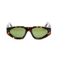 C03 BROWN TORTOISE