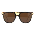245 Brown Tortoise