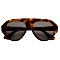 004 Brown Tortoise