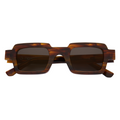 003 Brown Tortoise
