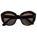 006 Brown Tortoise