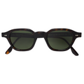 001 Brown Tortoise